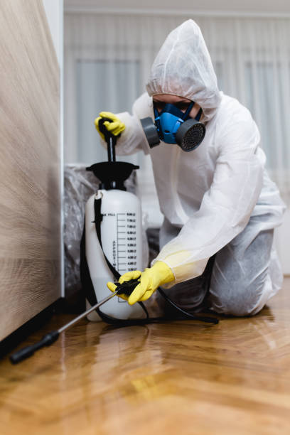 Professional Pest Control in Bunkie, LA